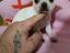 Immagine 4