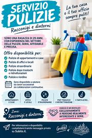 pulizie 
