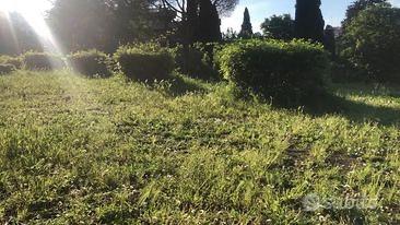 Camera ampia matrimoniale breve termine turistico