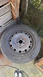 Pneumatici e cerchi polo