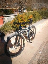 Trek procaliber 9.6