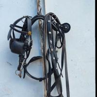  finimenti per pony o mezzo cavallo