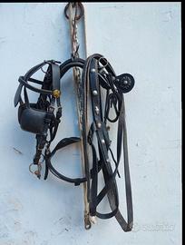  finimenti per pony o mezzo cavallo