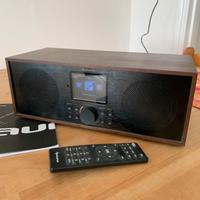 Radio internet /DAB+/FM