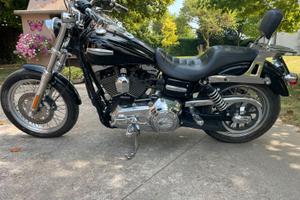 vedo harley
