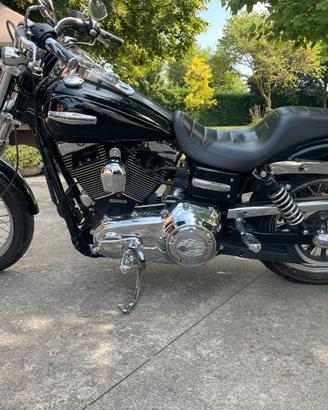 vedo harley
