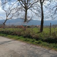 Azienda Agricola in Montella - Anche Lotti