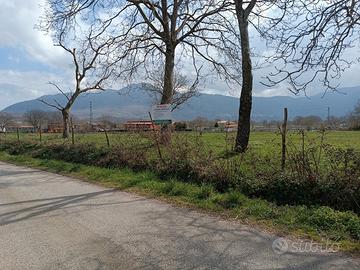 Azienda Agricola in Montella e 100 Titoli PAC