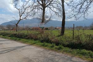 Azienda Agricola in Montella - Anche Lotti