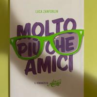 Molto più che amici - Luca Zanforlin
