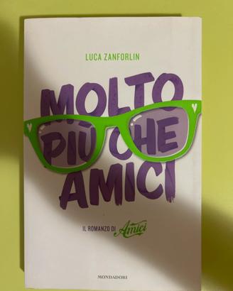 Molto più che amici - Luca Zanforlin