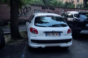 Peugeot 206 plus GPL