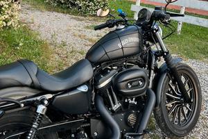 Scarichi Vance & Hines Shortshots Sportster 883