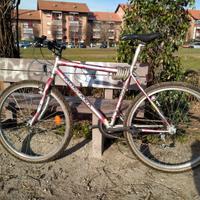 bici mtb montana