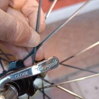 Cerchio posteriore per bici da corsa