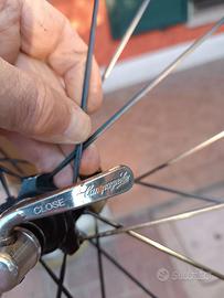 Cerchio posteriore per bici da corsa