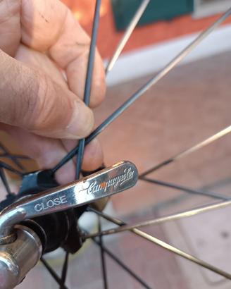 Cerchio posteriore per bici da corsa