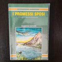 I Promessi sposi - 9788853500