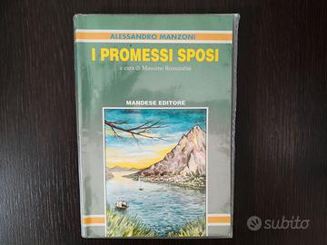 I Promessi sposi - 9788853500