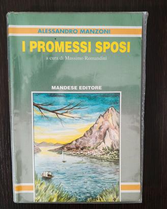 I Promessi sposi - 9788853500