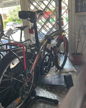 Biciclette pieghevoli