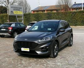 FORD Kuga 2.0 EcoBlue 150 CV aut. AWD ST-Line