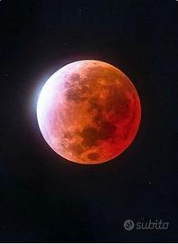 Lavoro ANCHE Sera o Notte + Fine Settimana