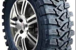 Doctor Tyre by Malatesta Kodiak Pneumatici 4x4 Off