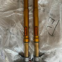 Coppia forcelle Ohlins NIX 30