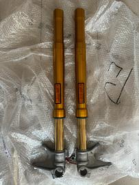 Coppia forcelle Ohlins NIX 30