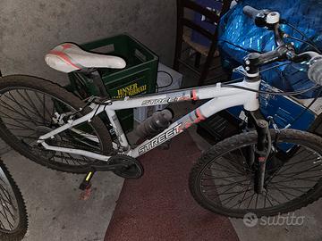 Coppia Biciclette Mountain Bike e Bici da Citta