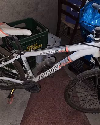 Coppia Biciclette Mountain Bike e Bici da Citta