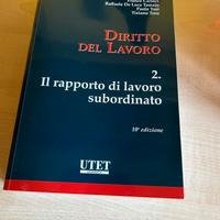 Libro Diritto del Lavoro Carinci