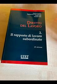 Libro Diritto del Lavoro Carinci