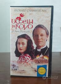 Uccelli di Rovo,  Gli anni mananti