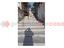 Immagine 11