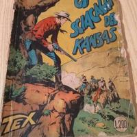 Tex numero 17 con testatine datate