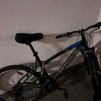 Mountain Bike Uomo.