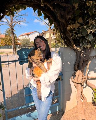 Babysitter disponibile a Mogliano Veneto