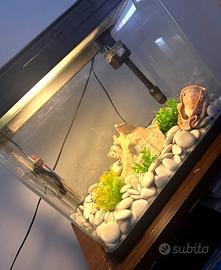 Acquario compreso accessori