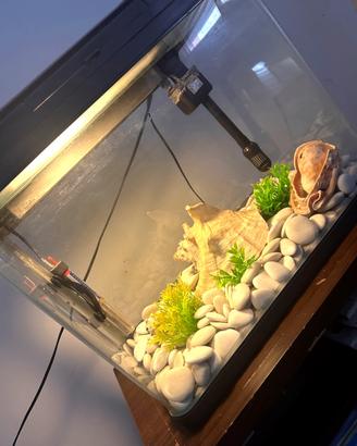 Acquario compreso accessori