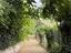 Immagine 18
