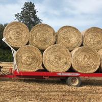 Fieno in rotoli