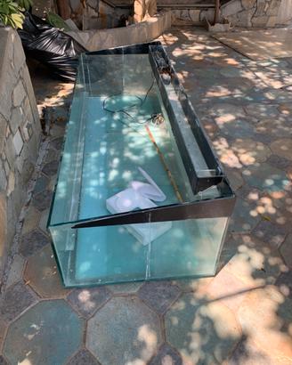 Acquario per casa o ristorante
