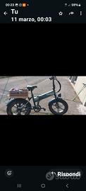 bici elettrica fat bike 