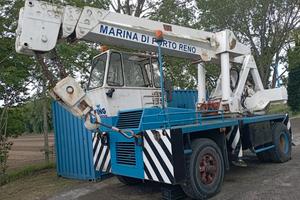 Gru gommata leone cella brescia