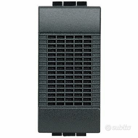 Ronzatore living internazional