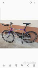 MTB Colnago modello Master