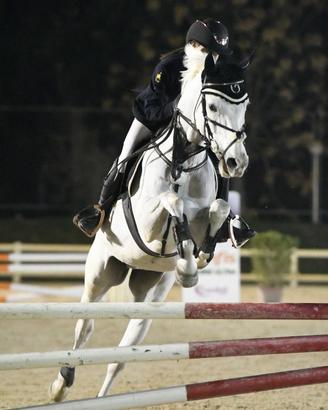 Cavallo grigio del 2009
