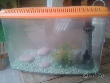 Acquario per pesci.